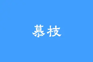 慕枝