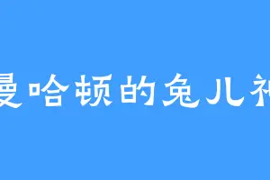 曼哈顿的兔儿神