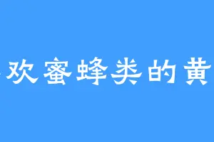 喜欢蜜蜂类的黄陶