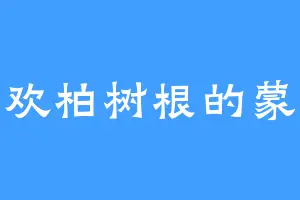 喜欢柏树根的蒙蒙