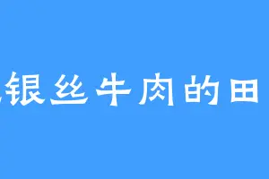 爱吃银丝牛肉的田培芳