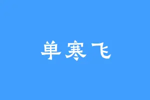 单寒飞