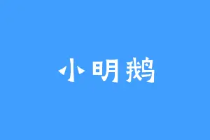小明鹅