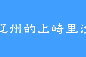 辽州的上崎里沙