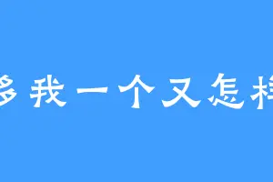 多我一个又怎样