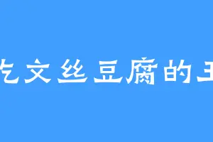 爱吃文丝豆腐的王兵