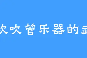 喜欢吹管乐器的武嘉