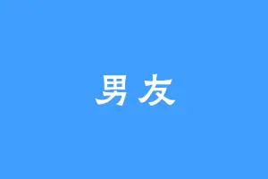 男友