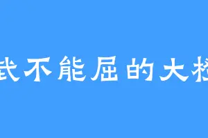 威武不能屈的大橙子