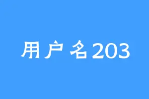 用户名203