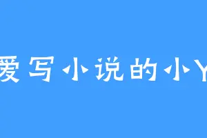 爱写小说的小Y