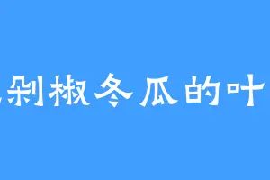爱吃剁椒冬瓜的叶小姐