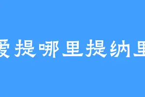 爱提哪里提纳里