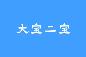 大宝二宝