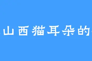 爱吃山西猫耳朵的冰岚