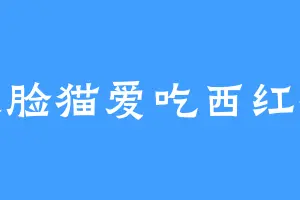 大脸猫爱吃西红柿