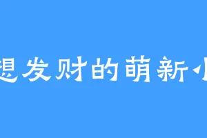 梦想发财的萌新小林