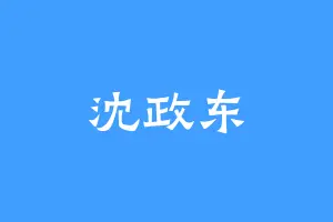 沈政东