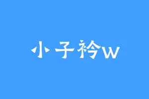 小子衿w