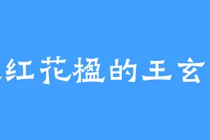 喜欢红花楹的王玄之龙