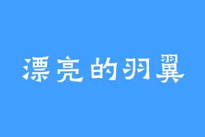 漂亮的羽翼
