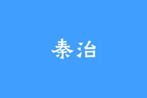 秦治