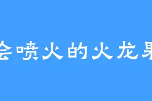 会喷火的火龙果