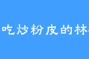 爱吃炒粉皮的林枫