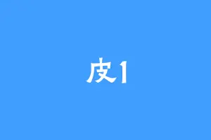 皮1