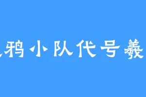 渡鸦小队代号羲和