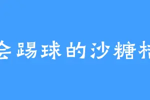 会踢球的沙糖桔