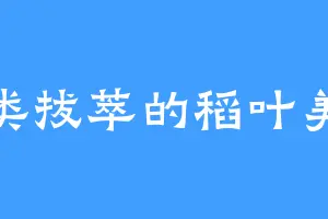 出类拔萃的稻叶美树