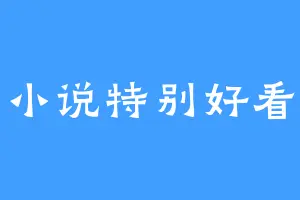小说特别好看
