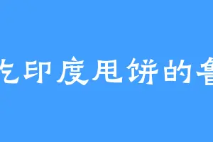 爱吃印度甩饼的鲁杀