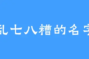 乱七八糟的名字
