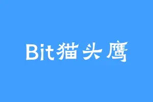Bit猫头鹰