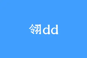 翎dd