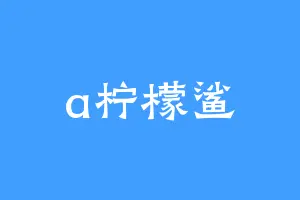 a柠檬鲨