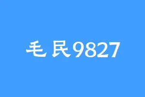 毛民9827