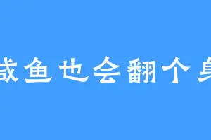 咸鱼也会翻个身