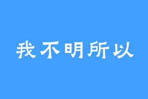 我不明所以