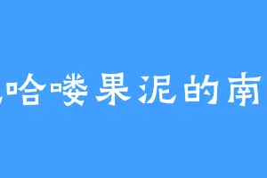 爱吃哈喽果泥的南宫曜