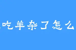 想吃羊杂了怎么办