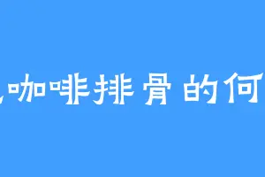 爱吃咖啡排骨的何小弟