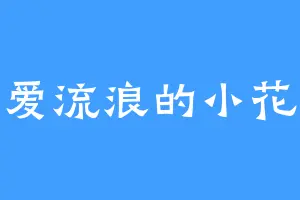 爱流浪的小花