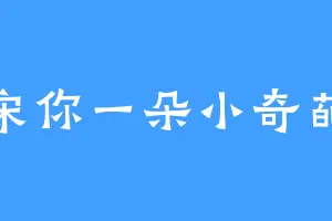 宋你一朵小奇葩