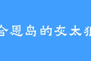 合恩岛的灰太狼