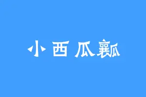 小西瓜瓤