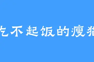 吃不起饭的瘦猫