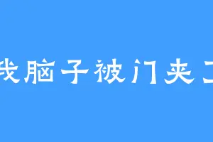 我脑子被门夹了